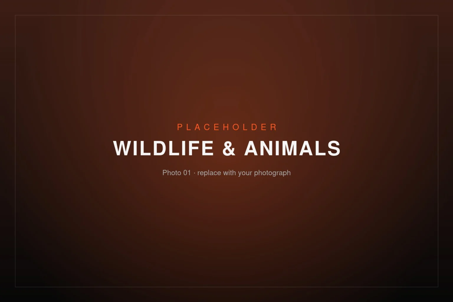 Placeholder image – Wildlife & Animals 01