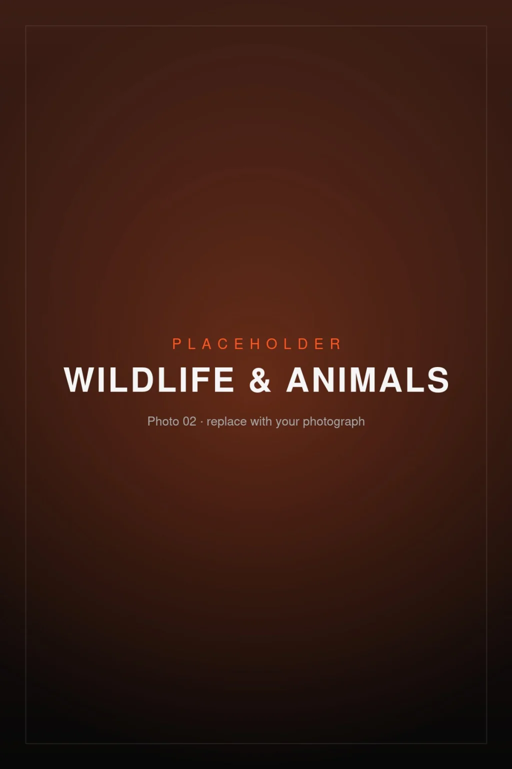 Placeholder image – Wildlife & Animals 02