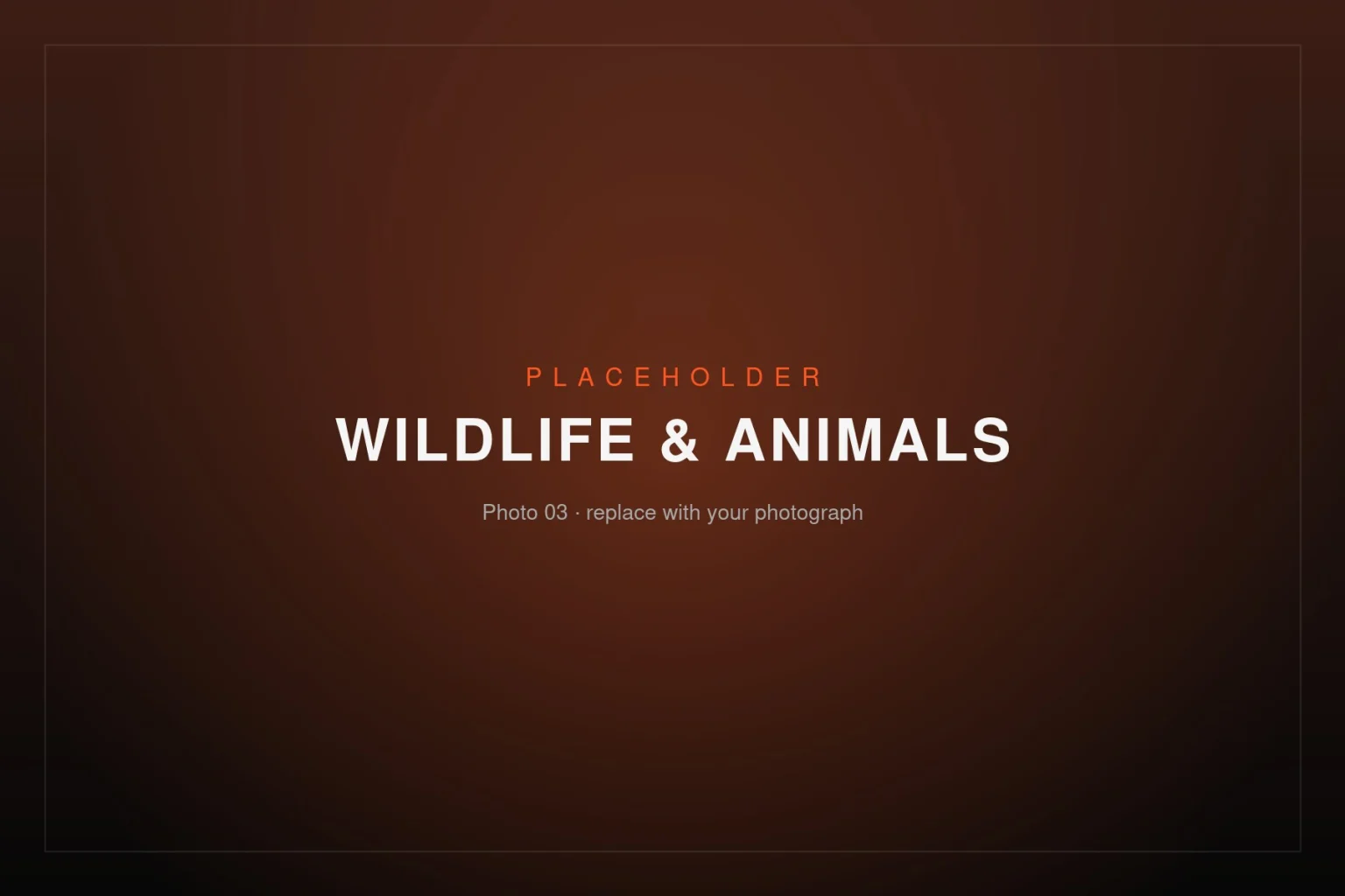 Placeholder image – Wildlife & Animals 03