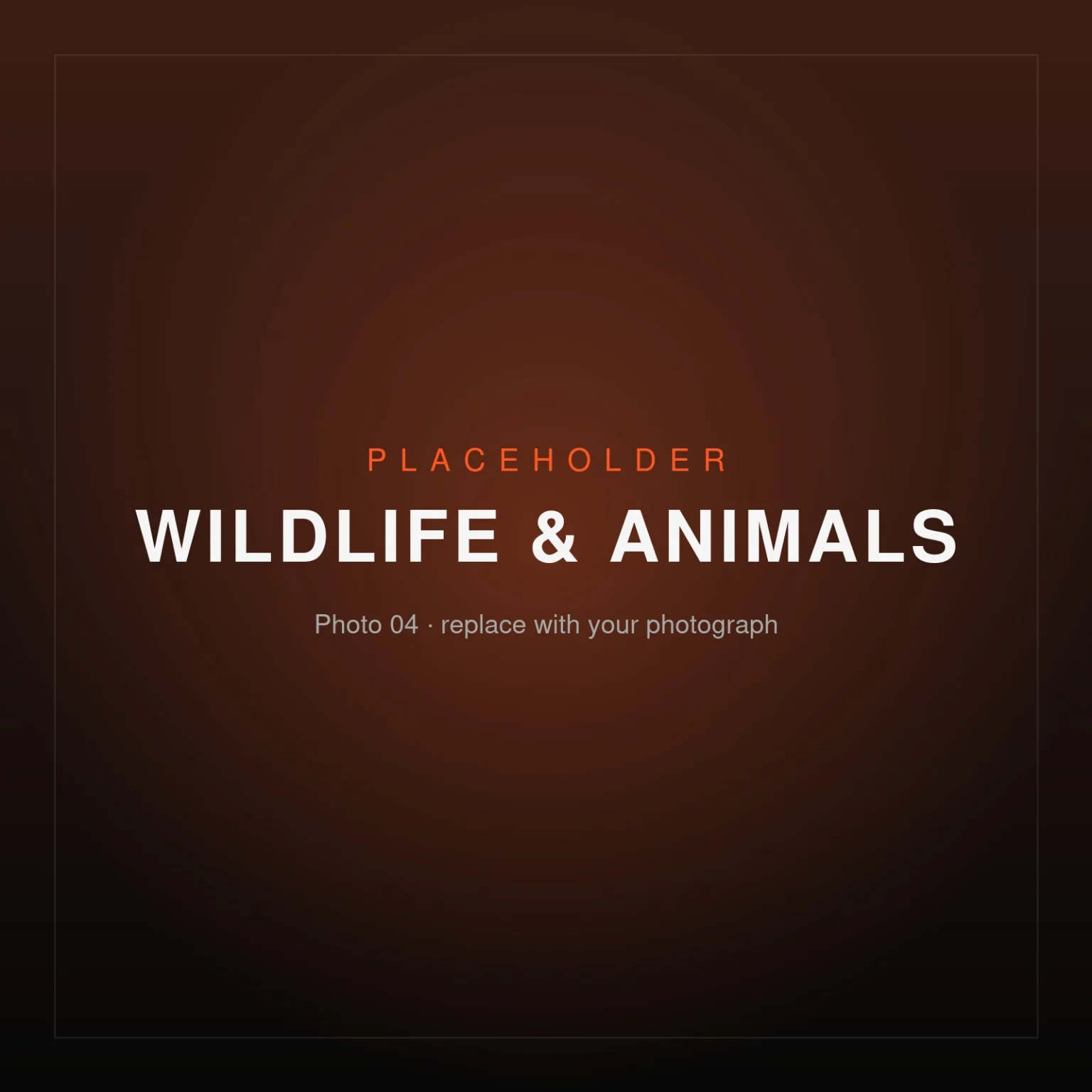 Placeholder image – Wildlife & Animals 04