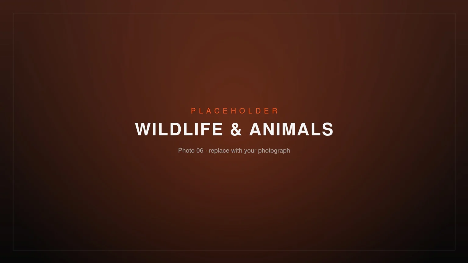 Placeholder image – Wildlife & Animals 06