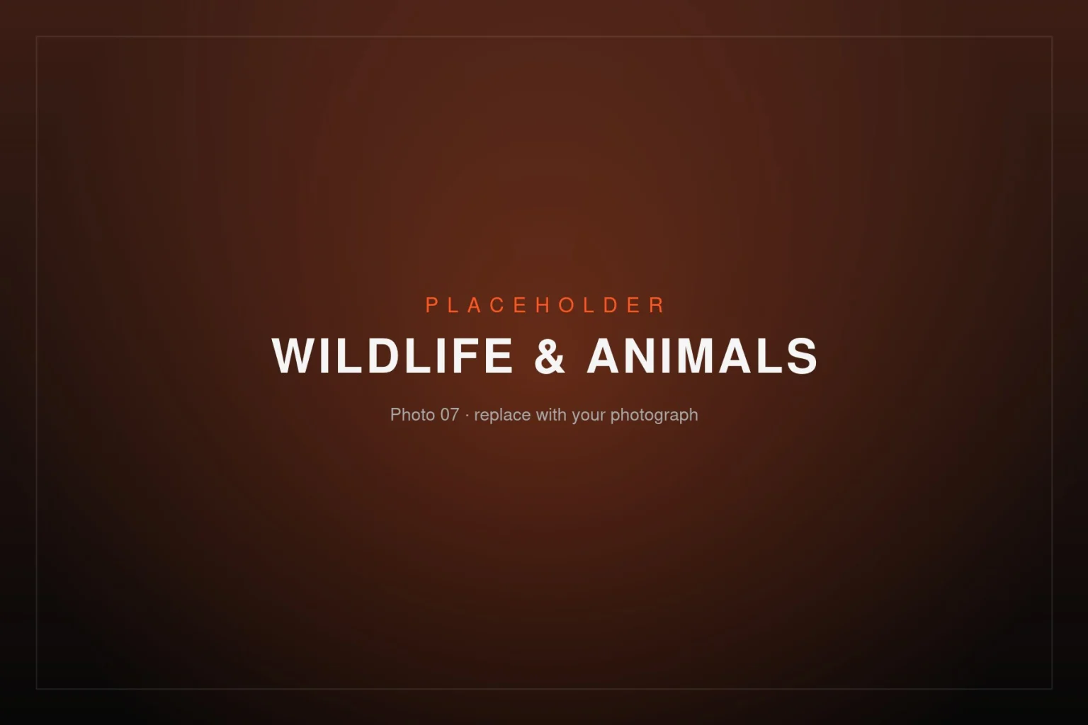 Placeholder image – Wildlife & Animals 07